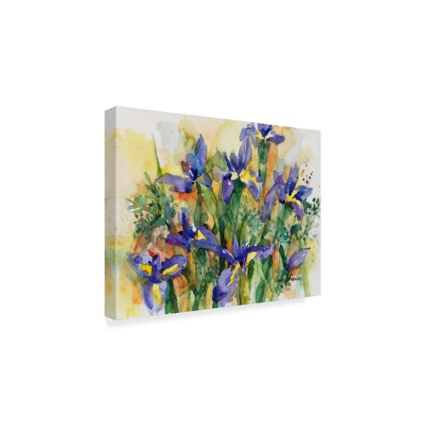 Annelein Beukenkamp 'Indelible Irises' Canvas Art,24x32